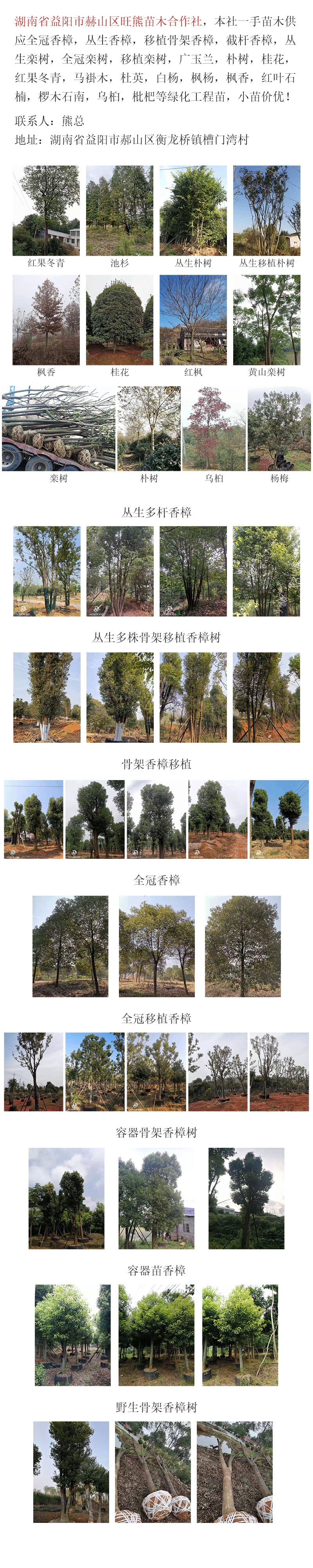 详情2
